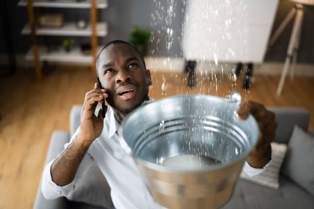 Best Water damage restoration cost  in Bright, IN