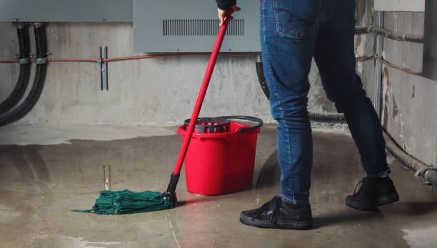 Best Ceiling water damage repair  in Bright, IN