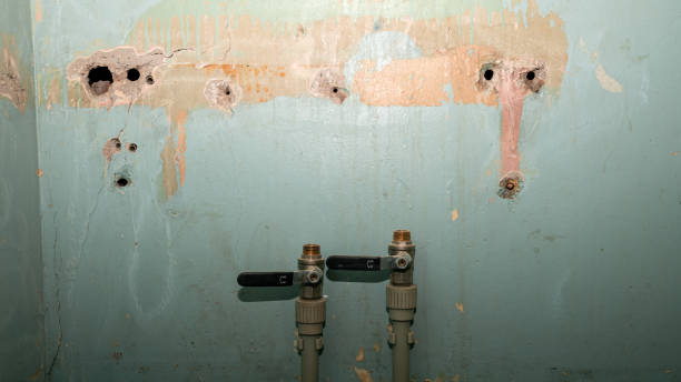 Best Water damage mitigation services  in Bright, IN