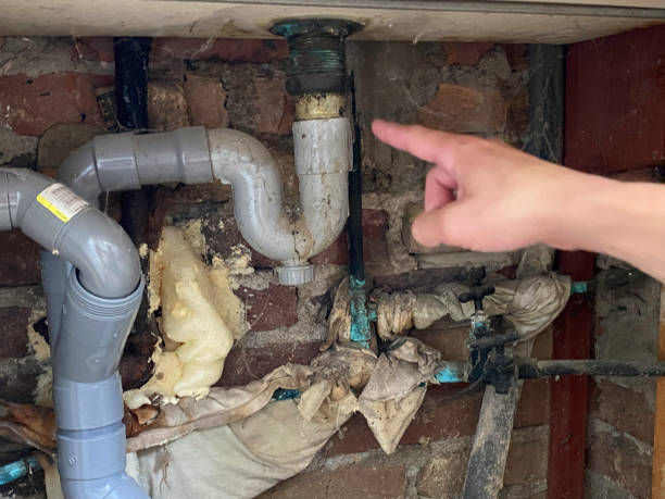 Best Commercial water damage restoration  in Bright, IN