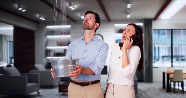 Best Water damage restoration near me  in Bright, IN